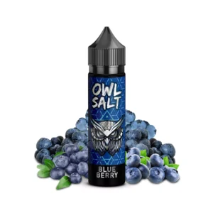 Blueberry Aroma OWL Salt Longfill 10 ml in 60 ml